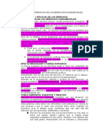 Criterios e Interpretacion de Los Derechos Fundamentales - RES