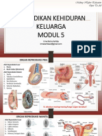 Pendidikan Kehidupan Keluarga Ut 2021 (Revisi) B