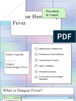 Dengue Hemorrhagic Fever: Prevention & Control