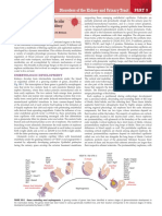 Medicine I, Renal Disease