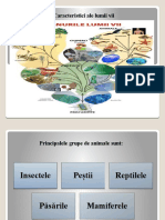 Tema 1.caracteristici Ale Lumii VII