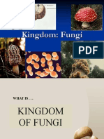 Kingdom of Fungi