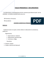 Lesiones cutáneas primarias y secundarias