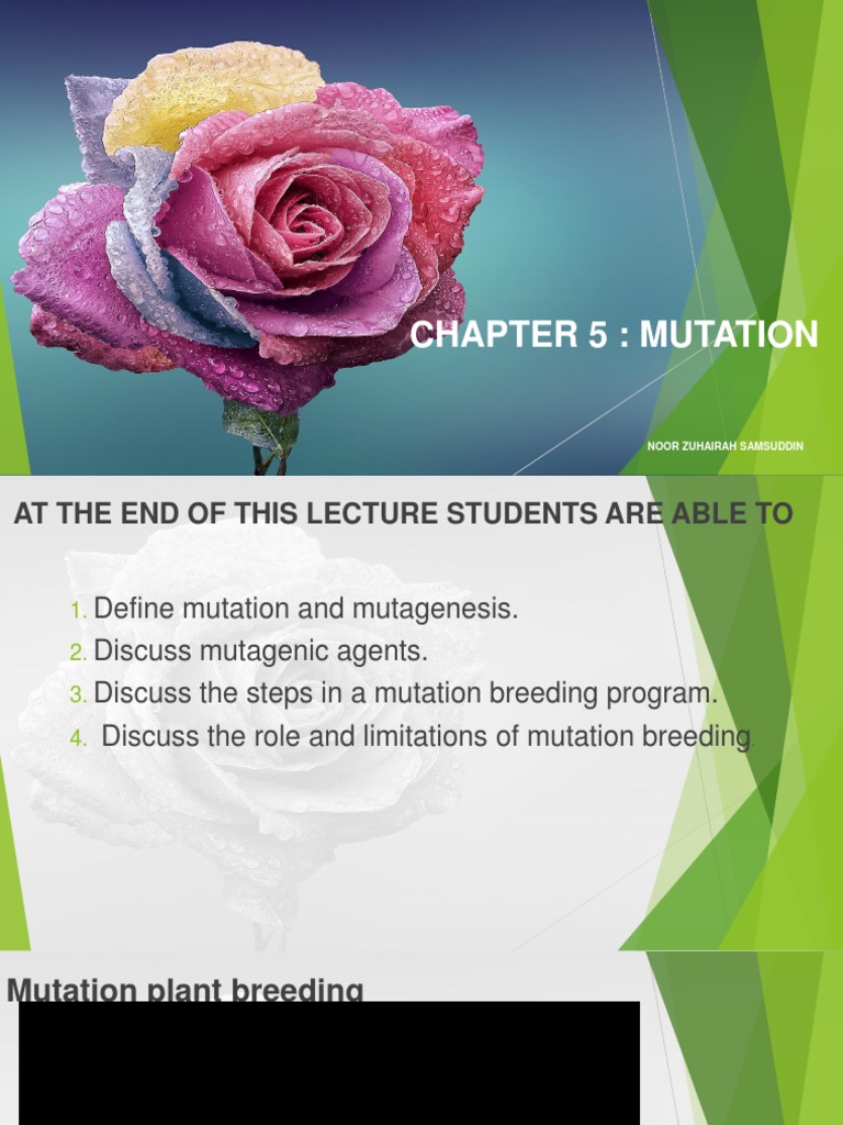 Mutation Breeding in Plant Genetics | PDF | Ionizing Radiation | Mutation