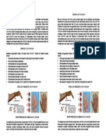 Sejarah Kayu Kaukah