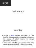 Self Efficacy N