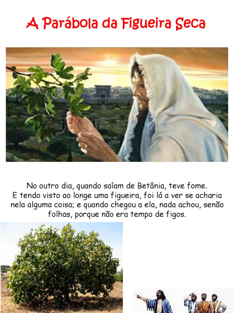 Aula - Parábola Da Figueira Seca | PDF | Jesus | Fé