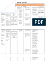 Nursing Care Plan: Precipitating Factor