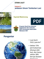 2.-Gambaran-Umum-Tumbuhan-Laut