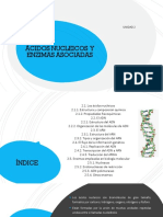 Ácidos Nucleicos y Enzimas Asociadas