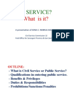 Civil Service?: What Is It?