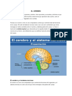 El Cerebro