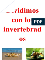 Dividimos Con Los Invertebrados