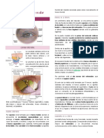 1. Anatomía del globo ocular