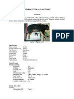 Laporan Kasus Hepatocelular Carcinoma Pasien RSHP