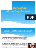 Lo Esencial Del Marketing Radical