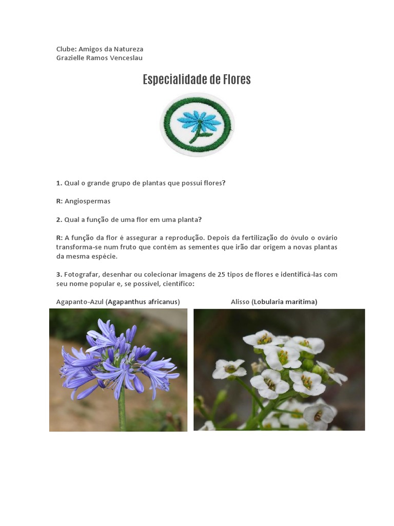 Especialidade de Flores e Polinização | PDF | Flores | Polinização