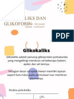 Glikokaliks Dan Glikoforin: NAMA: Sitti Qonitah Stambuk: 11020210045