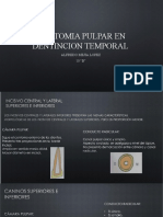 ANATOMIA PULPAR EN DENTINCION TEMPORAL