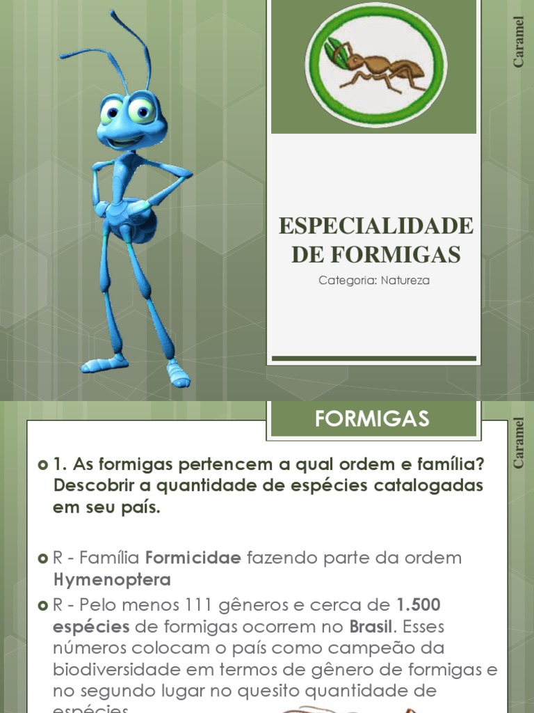Especialidade de Formigas Desbravadores | PDF | Formiga | Organismos, image size:768x1024