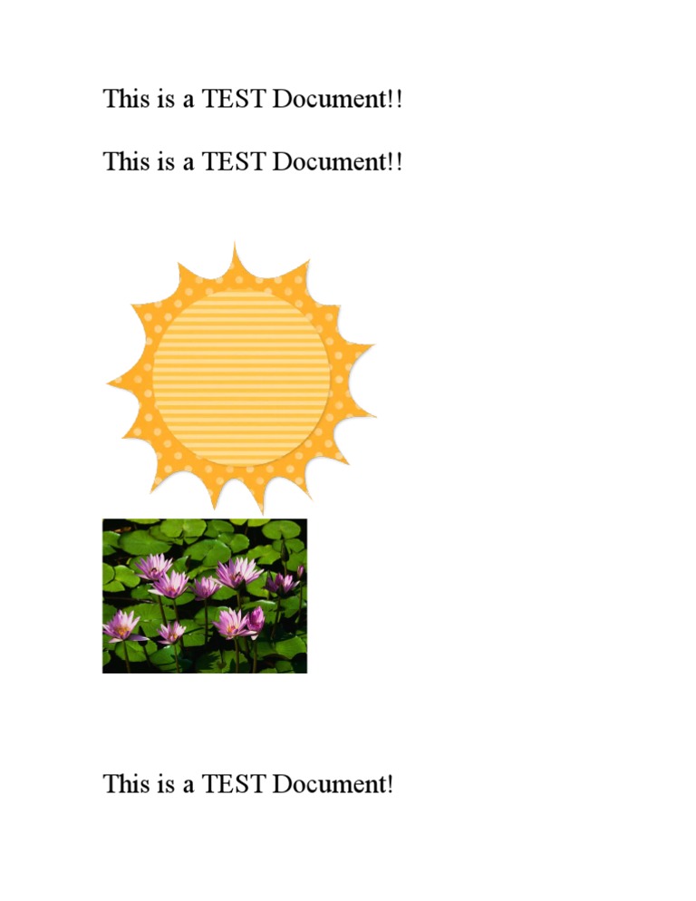 Test Document Overview and Details | PDF | Wellness