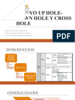 Ensayo Crosshole Downhole