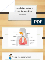 Sistema Respiratório