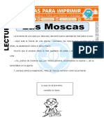 Ficha de Las Moscas para Segundo de Primaria