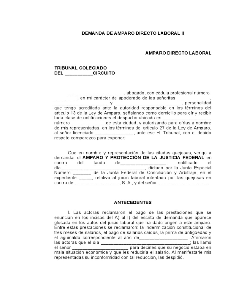 Demanda de Amparo Directo Laboral Ii | PDF | Testigo | Violación