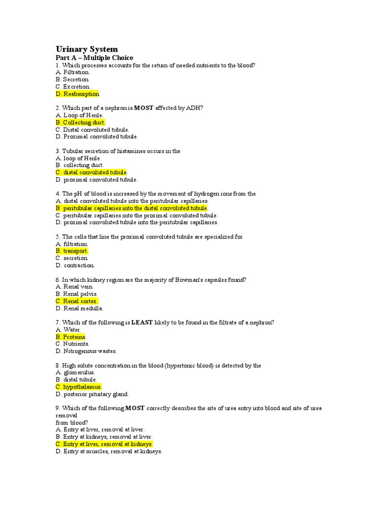Urinary System Part A Multiple Choice PDF Kidney Genitourinary