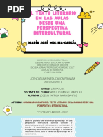 Mapa Conceptual Literatura Con Perspectiva Intercultural