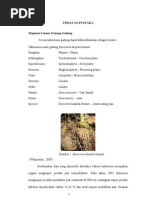 Download Chapter II by yayriasfa SN53674061 doc pdf