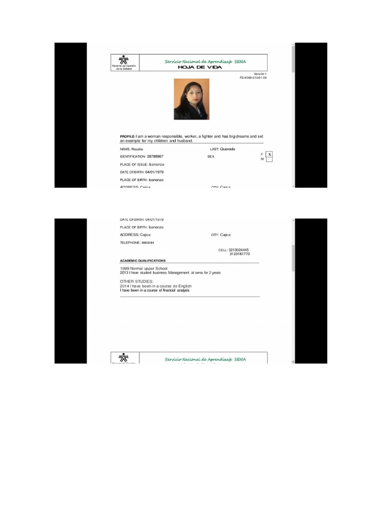 Guia para Hacer Hoja de Vida en Ingles PDF