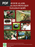 Download Coffee Fest by Lukas Merapi SN53675521 doc pdf