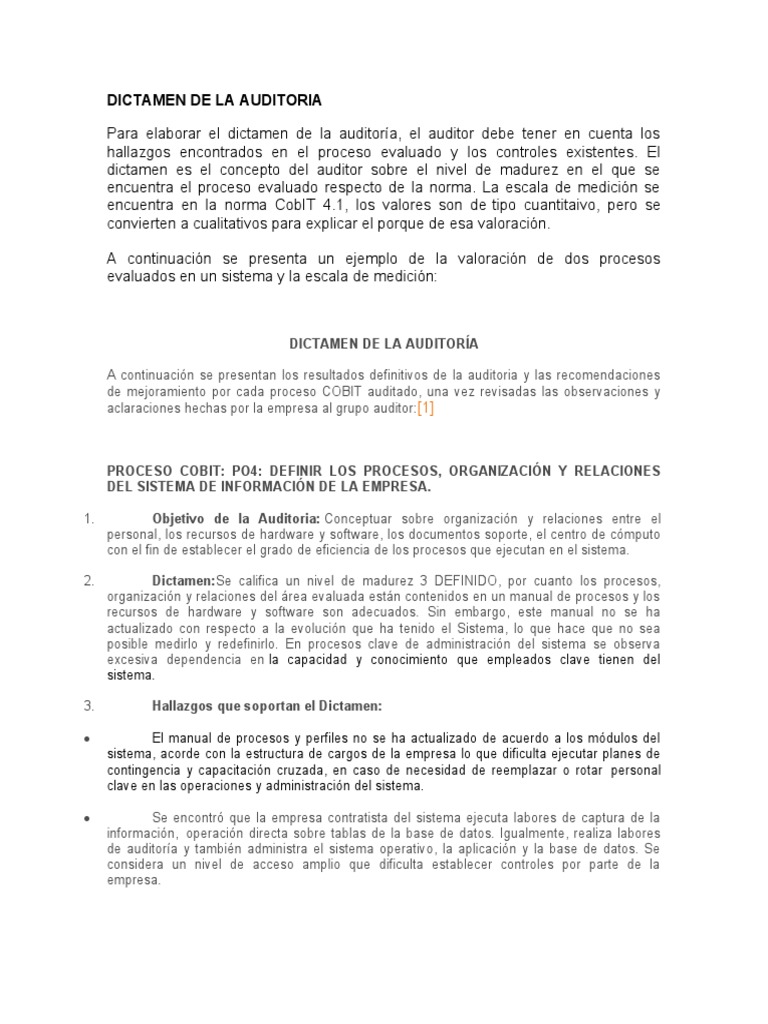 Ejemplo Dictamen de La Auditoria | PDF | Auditoría | Software