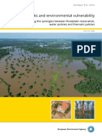 Flood risks and environmental vulnerability