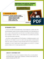 Universidad Nacional Pedro Ruiz Gall0-Lambayeque: Cultivo de Tuberosas Y Raicez