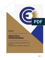 Guia Practica Profesional 2020-2