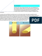 UNI Caracteristicas Estructurales de La Tierra