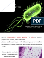 Seminario 15 Listeria