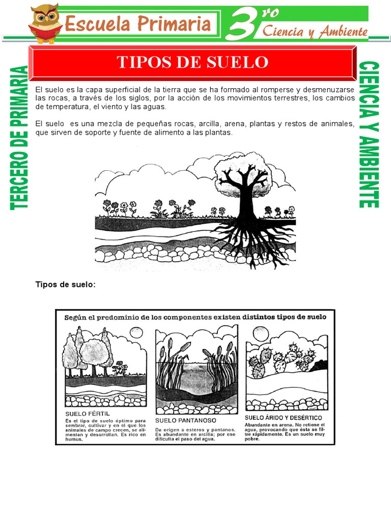 Tipos de Suelo para Niños de Primaria | PDF