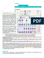 Hematopatología 1