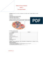 Taller de Ciencias Naturales