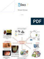 Trichuris Trichiura 232693 Downloable