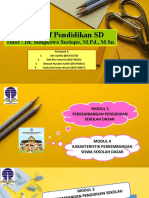 Perspektif Pendidikan SD