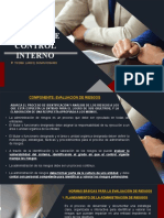Normas de Control Interno / Susan Rosario Ticona Larico / Segunda Especialidad en Gestión Pública