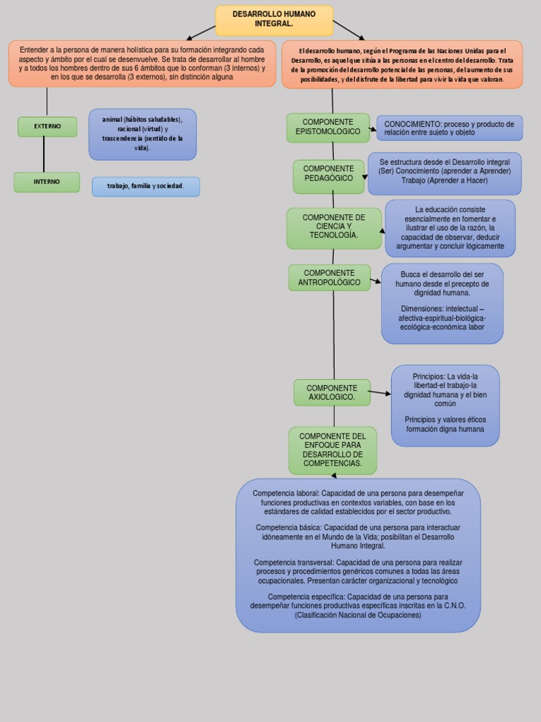 Mapa Conceptual del Desarrollo Humano | PDF | Aprendizaje | Conocimiento