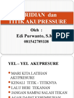 Teori Meridian & Titik Akupressur