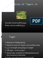 Conservation of Tigers in