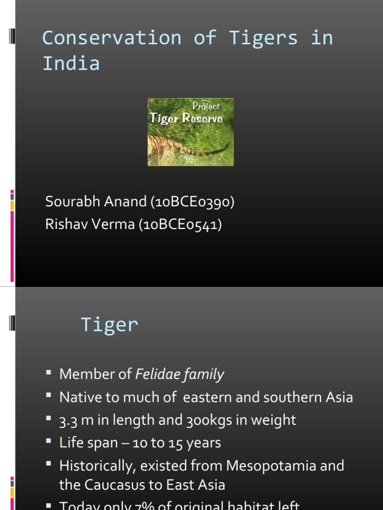 Tiger Conservation Efforts in India | PDF | Tiger | Natural Environment